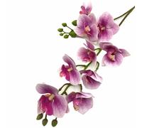 forestmistry 6pcs Latex Butterfly Orchid Flower Two Forks 9 Heads Real Touch Artificial Phalaenopsis (deep pink)