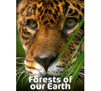 Forests of our Earth