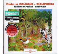 Forêts De Pologne - Bialowieja - Forests Of Poland - Bialowieja