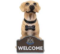 Forever Collectibles UK Limited Newcastle United FC Labrador Gnome