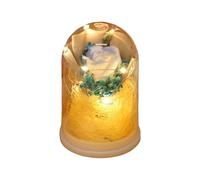 Forever Flowers - Eternal Rose Bouquet in Glass Dome | Infinity Flower with Light,for Her Mom Grandma Sister Daughter Wife Valentines Girlfriend Birthday Christmas