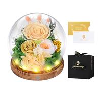 Forever Real Rose in Glass Dome,LED,Eternal Glitter Roses Flowers Preserved 5 Years,Gifts for Her Woman Wife Girlfriend on Birthday, Anniversary, Valentine's Day, Mother's Day, Christmas(Champagne)