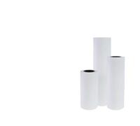 ForgeCore PET Transfer Film Roll 30CM X 100M 75 Micron Compatible With L1800 I3200 4720 L1800 L805 XP600 1390 Printhead DTF Printer(Single-Side Matte)