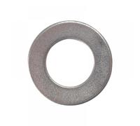 Forgefix 10WASH20 Flat Washer Form B Zp Zp M20 Bag 10