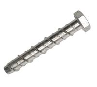 MASONMATE Hex Concrete Screwbolt M12 x 200mm Pack of 10