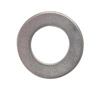 Forgefix Flat Washer Form B Zp M12 Bag 100 in Silver Forgefix Silver
