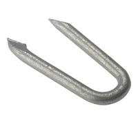 Forgefix Galvanised Netting Staples 15mm 250g