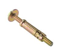 ForgeFix Masonry Anchors - Loose Bolts | M10 x 25mm | Zinc Yellow Passivated | Bag 5