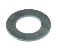 Forgefix Penny Washers, Zp Multi Colour (M10 X 25mm)