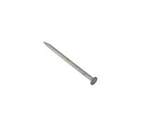 Forgefix RH100GB50 500g Galvanised Round Head Nail
