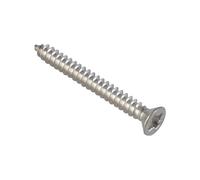 Forgefix Self-tapping Screws, Pozi, Csk, A2 Stainless Steel