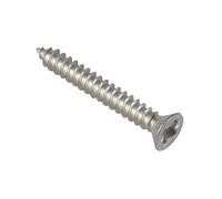 Forgefix Self-tapping Screws, Pozi, Pan Head, A2 Stainless Steel