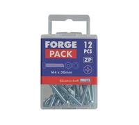 Forgepack FPMSPH650 Machine Screw With Nuts & Washers - Pan Head - Zinc Plated M6 X 50Mm (Pack Of 4)