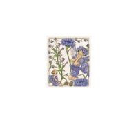 DMC Cross Stitch Kit - Flower Fairies - The Forget-Me-Not and The Cornflower Fairies