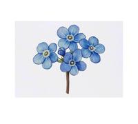 'Forget Me Not Flowers' Temporary Tattoo - Water Resistant, Skin-Safe, Non-Toxic Transfer (TO00088523)