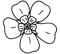 'Forget-Me-Not' Rubber Stamp - Unmounted Design for Crafting & Scrapbooking, A8 (RS00047942)