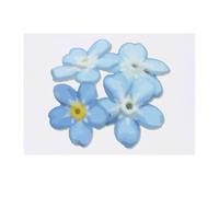 'Forget Me Not' Temporary Tattoo - Water Resistant, Skin-Safe, Non-Toxic Transfer (TO00079235)