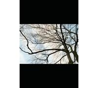 Forging the Fire: The Brainerd Crucible