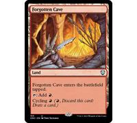 Forgotten Cave | Phyrexia: All Will Be One Commander
