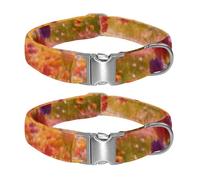 Forgotten Railway Bridge Adjustable Nylon Dog Collar for Night Safety, Medium Large Dogs