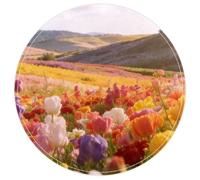 Forgotten Railway Bridge Plush Accent Rug with Non-Slip Backing for Bedroom