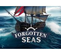 Forgotten Seas (PC) Steam Account - GLOBAL