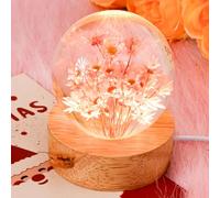 Foribyw Flower Crystal Ball Night Light, USB Powered Glass Ball Night Lamp with Wooden Base, Fancy Crystal LED Night Light, Decorations Gifts for Men, Women, Kids, Boys, Girls, Teens(red Daisy Ball)