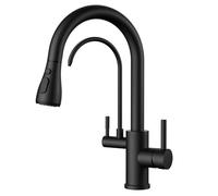 FORIOUS Kitchen Tap, 3 Way Kitchen Tap, 360° Swivel High Arc Dual Handle Water Filter Faucet with Pull Out Soray, Matte Black