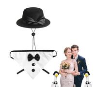 Formal decoration set, Birds Water Gentleman Sculptur hats Fly Swinet Package includes charming hats, flights and scarves, the clothing of geese from water ord