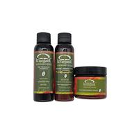 Formaldehyde-Free Organic Keratin Treatment Set (2 oz/60 ml) by Kerarganic - Natural Ingredients that Eliminates Frizz, Reduces Volume, Repairs Damages.
