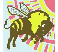 Format - B-Sides & Rarities [VINYL]