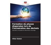 Formation de phases dispersées lors de l'incinération des déchets: Evaluation complète de l'efficacité du recyclage