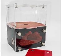 Formicarium - Ant Farm Habitat Kit for Behavior Observation, Educational Terrarium for Adults and Kids
