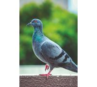 Formidable 6x9 inch, Glossy, [100] pages Notebook.: Work very hard to make the chances enough.