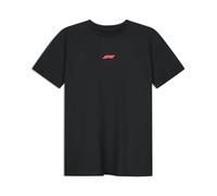 Formula 1 Men's Racing Line T-Shirt, Black, M