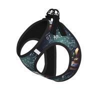 Formulas Shapes Theory Math Lesson Word Small Pet Harness Vest - Full Print Design, Adjustable and Reflective for Safety, Suitable for Small Cats and Dogs Pet leash vest