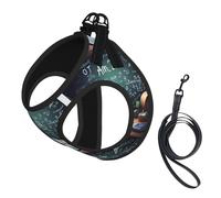 Formulas Shapes Theory Math Lesson Word Small Pet Harness Vest - Full Print Design, Adjustable and Reflective for Safety, Suitable for Small Cats and Dogs Pet leash vest