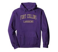 Fort Collins High School HS Fort Collins CO Vintage Sports Pullover Hoodie