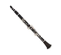 Forte CL1 Bb Clarinet Outfit - Nearly New