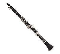 Forte CL220 Bb Clarinet Outfit