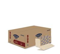 Forte Havana Kraft 2 Ply V Fold Hand Towel 21x20cm (1 x 4000)
