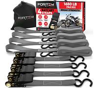 FORTEM Ratchet Straps, 748kg Break Strength, 4 Pack 4.6m x 2.54cm Tie Down Strap Set, 4 Soft Loops, Motorcycle Straps Tie Downs, Cargo Cam Buckles, Rubber Handles, Carry Bag