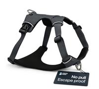 Fortis Paws Guardian No Pull Dog Harness, Escape Proof (Grey, Large)