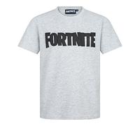 Fortnite - Game Logo - Gaming Design Youth T-Shirt - Short Sleeve Cotton Multi-Coloured Unisex Tee for Ages 10-16 (UK, Age, 15 Years, 16 Years, Regular, Grey)
