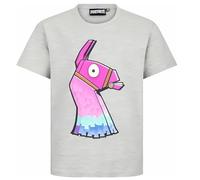Fortnite - Pinata Llama - Gaming Design Youth T-Shirt - Short Sleeve Cotton Blue Unisex Tee for Ages 6-14 (UK, Age, 15 Years, 16 Years, Regular, Grey)