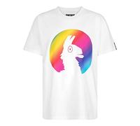 Fortnite | Toys & Gamers | Rainbow Llama | White| Short Sleeved | Unisex Kids | Crew | Gaming Cotton T-Shirt Sizes 10-16 Years… (UK, Age, 9 Years, 10 Years, Regular)