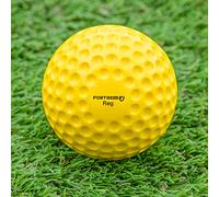 FORTRESS Cricket Bowling Machine Balls - Regular, Light & Velocity Balls | High Performance Cricket Training Aid | Suitable For All Bowling Machines (Regular (12x Pack))