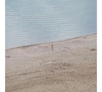 Fortunato Durutti Marinetti - Eight Waves In Search Of An Ocean [VINYL]