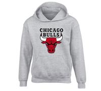 Fortune Chicago Bull Slogan Unisex Printed Hooded Sweatshirt Grey