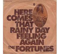 Fortunes, The - Here Comes That Rainy Day Feeling Again - Capitol Records - 1C 006-80 771 M